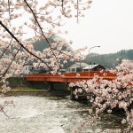 角館の桜橋