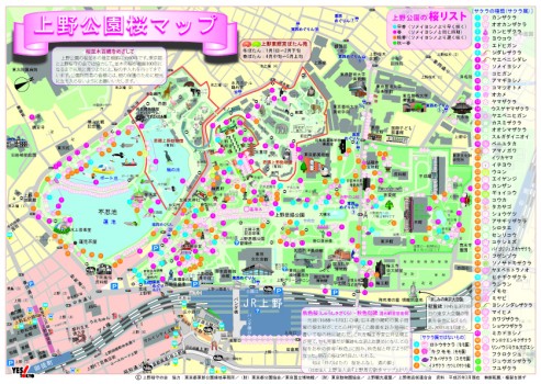 上野公園の桜マップ